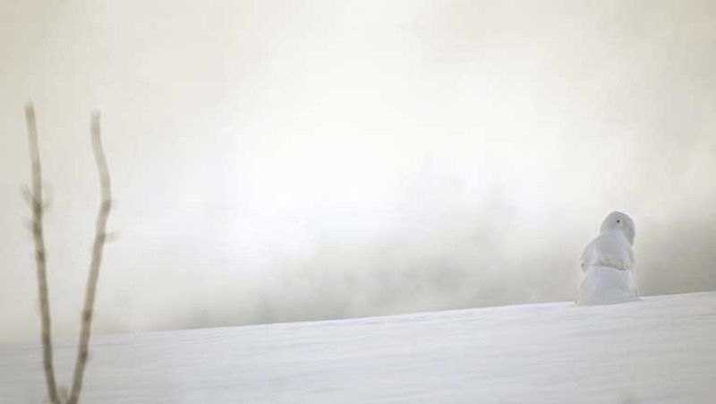 Temperaturas muy bajas en la península e interior de Baleares