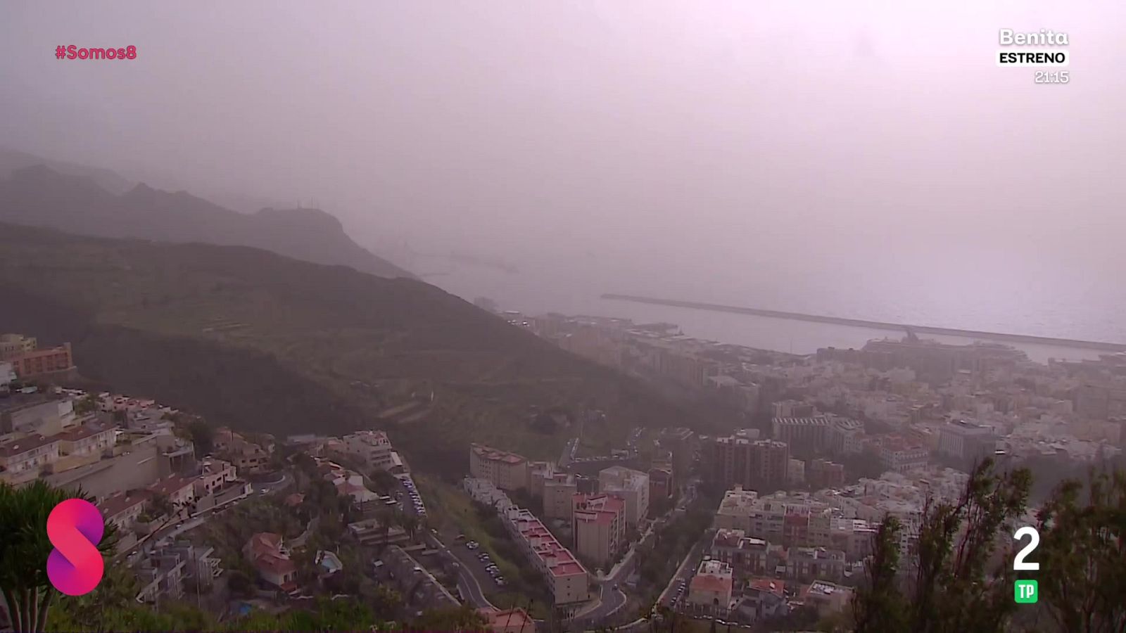 Somos 8 - 31/03/2026 - Somos 8 | Ver