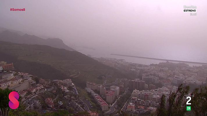 Somos 8 - Somos 8 - 31/03/2026