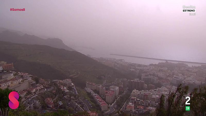 Somos 8 - 31/03/2026 - Somos 8 | Ver