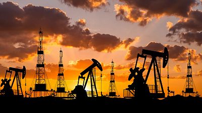 Bruselas pide a los Veintisiete que se coordinen ante las posibles interrupciones del suministro energ�tico