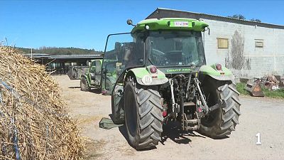 La baixada del preu de la llet ofega els ramaders catalans: produir ja surt més car que vendre