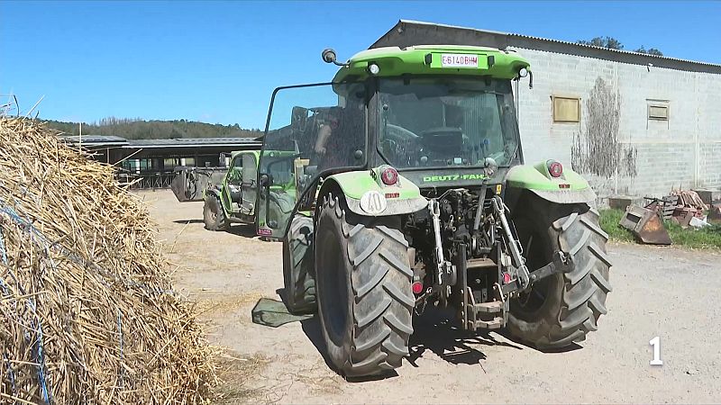 La baixada del preu de la llet ofega els ramaders catalans - L'Informatiu | Veure