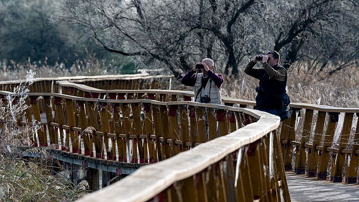 Noticias de Castilla-La Mancha - El turismo rural supera el 80% de ocupación y busca mejorar los datos de 2025
