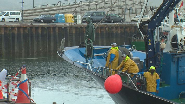 TeleCantabria - Los pescadores no logran llegar al 5% en la costera del verdel