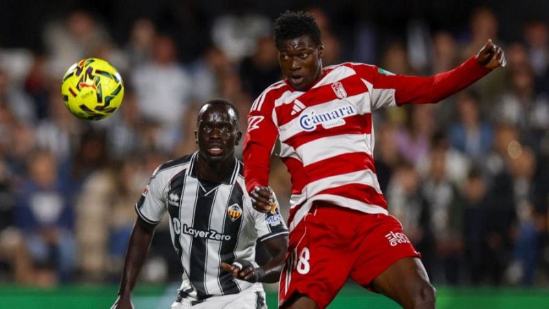 Castellón - Granada: resumen | 34ª jornada. Segunda | Ver