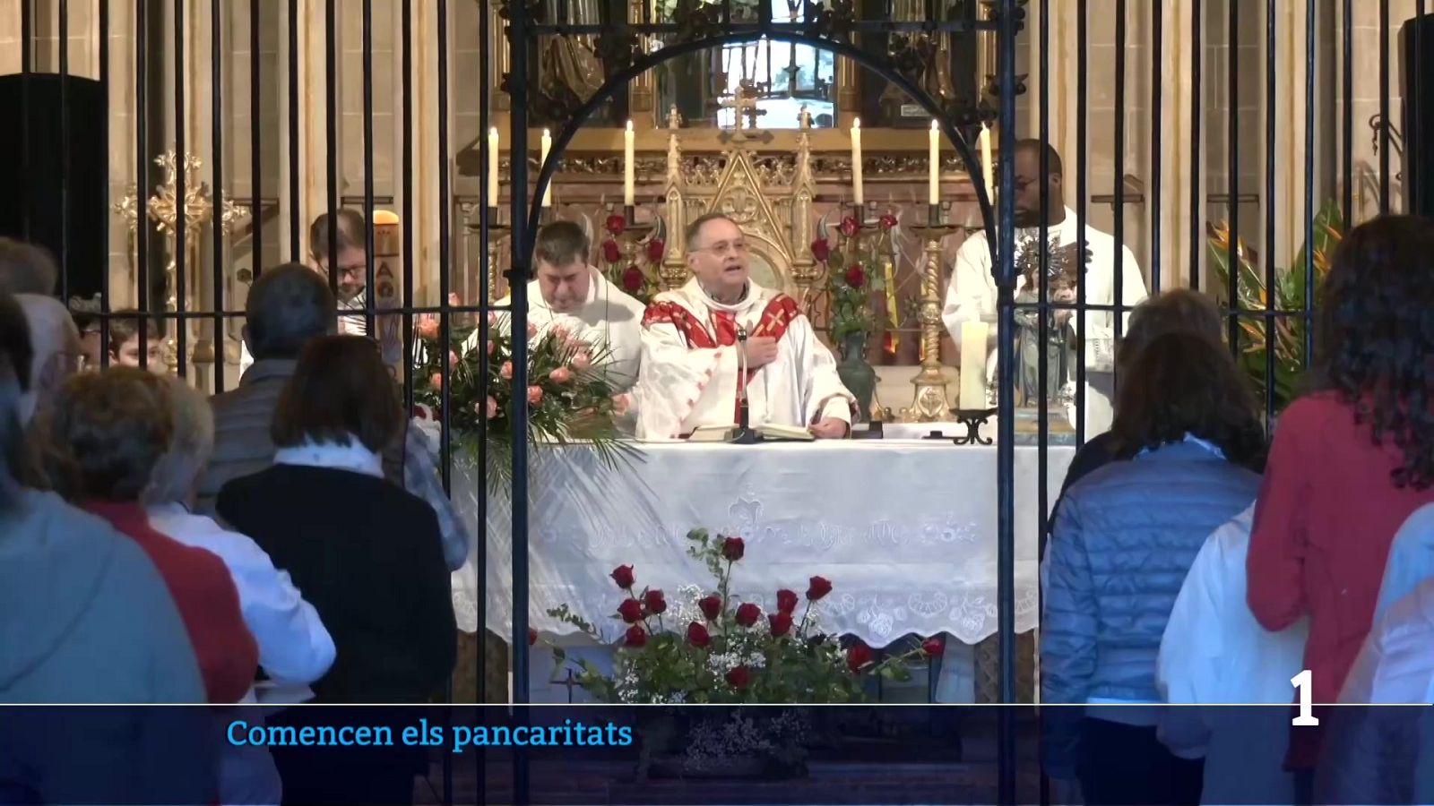 Comencen els pancaritats