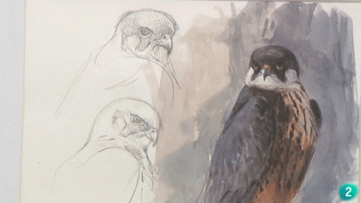 La aventura del Saber - Juan Varela. Pintor