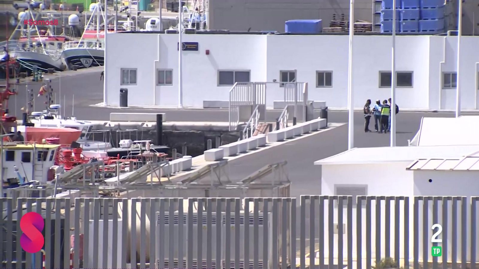 Somos 8 - 06/04/2026 - Somos 8 | Ver