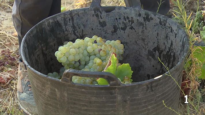 Informativo Telerioja - Telerioja en 2' - 07/04/26