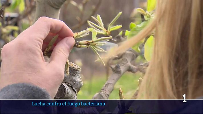 Informativo Telerioja - Informativo Telerioja 2 - 07/04/26