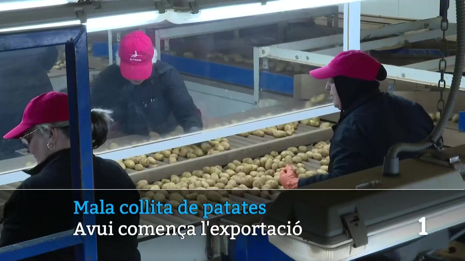 Informatiu Balear en 2' - 08/04/26 | Ver