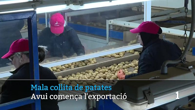 Informatiu Balear en 2' - 08/04/26 | Ver