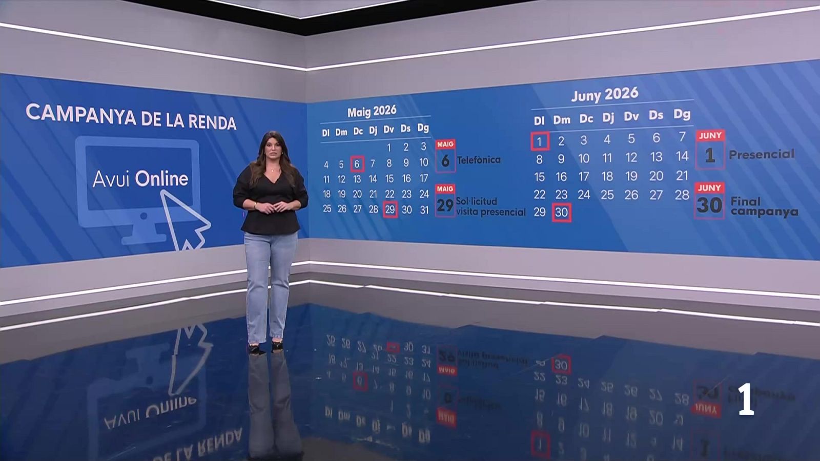 Arrenca la campanya de la renda 2025 amb les declaracions via web