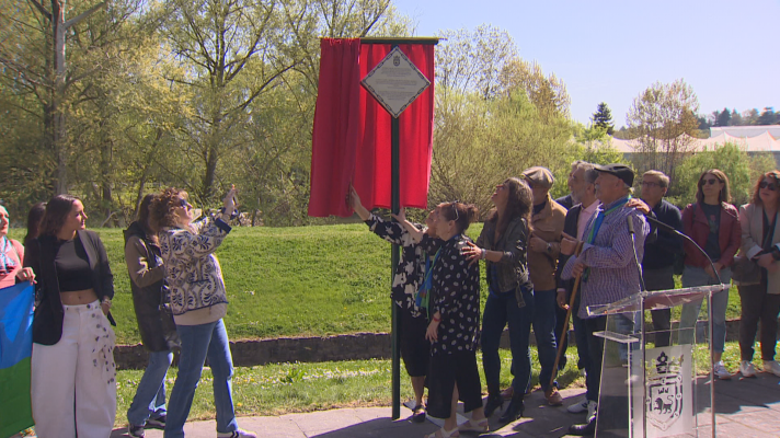 Telenavarra - Pamplona reconoce el legado del pueblo gitano con una placa junto al Arga