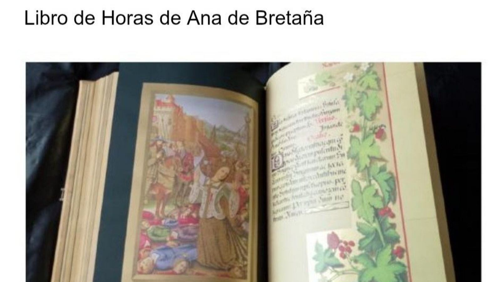 La catedral de Pamplona acoge una exposición única sobre códices medievales - Telenavarra | Ver