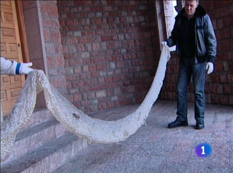 Panorama Regional 2 - 27/02/13 | Ver