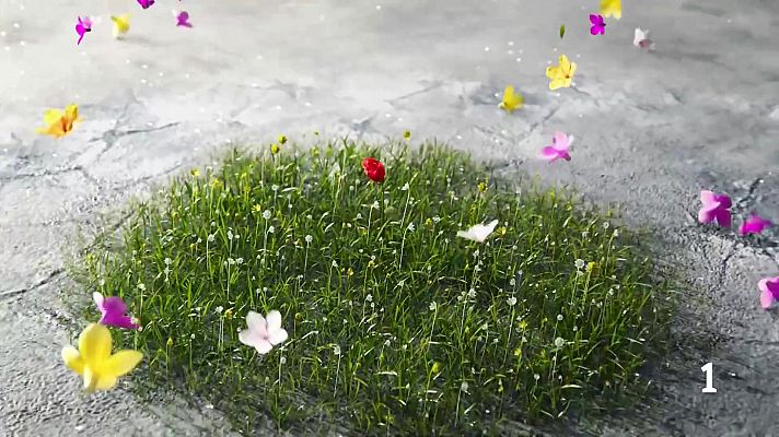 Noticias Murcia - El Tiempo en la Region de Murcia - 08/04/2026