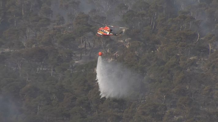 L'informatiu - Comunitat Valenciana - Estabilitzat l'incendi declarat dimarts que ha cremat 10 hectàrees a Tibi