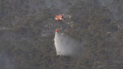 Estabilitzat l'incendi declarat dimarts que ha cremat 10 hect�rees a Tibi - L'informatiu - Comunitat Valenciana | Ver