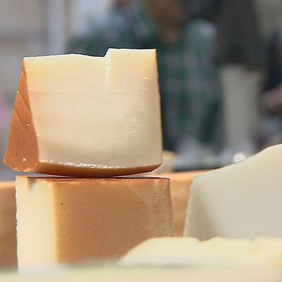 Telenorte - País Vasco - Ordizia celebra el Artzain Eguna con 1.500 ovejas y el tradicional primer corte de queso Idiazabal