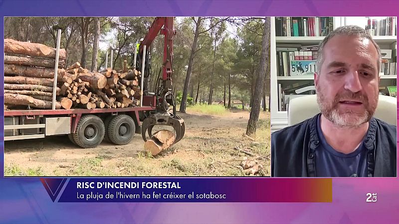 Resco de Dios alerta: "El bosc és el combustible dels incendis i cal gestionar-lo"