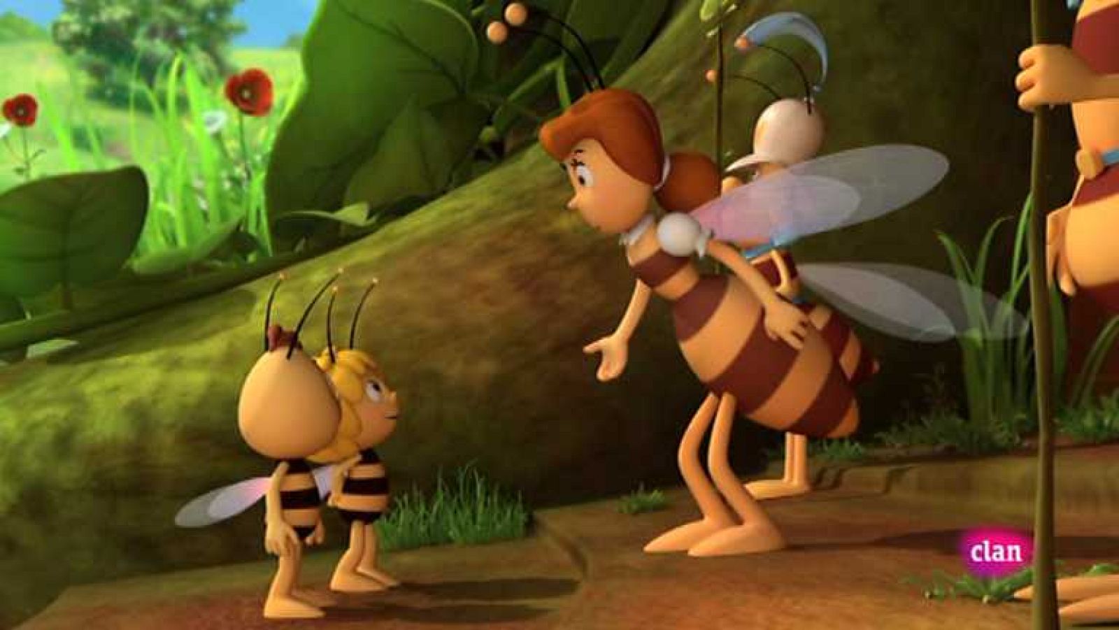 Una avispa muy simpatica - Maya | Ver