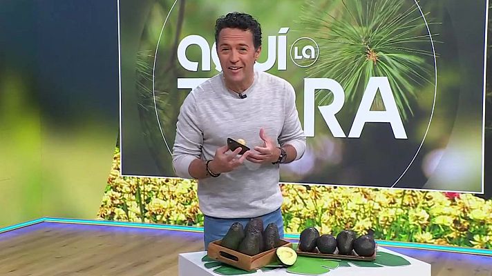 Aquí la Terra - Cristina Villanueva, alvocats, carquinyolis