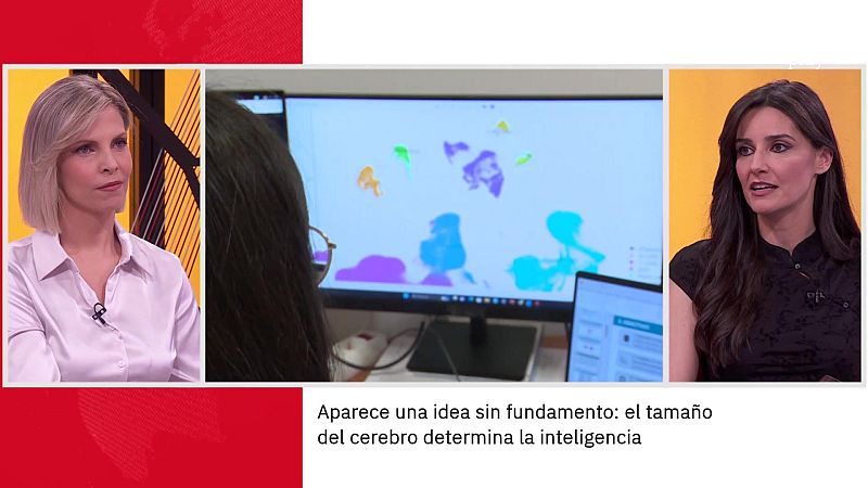 Carmen Guillén. La ciencia y el cerebro femenino | Ver