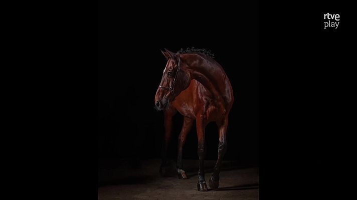 La aventura del Saber - Boek Visual: Haidé Costa