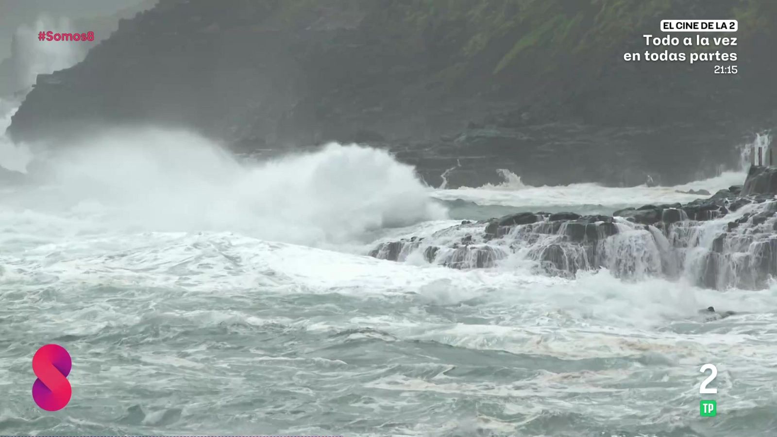 Somos 8 - 09/04/2026 - Somos 8 | Ver