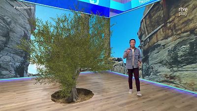 Aquí la Tierra - 09/04/26