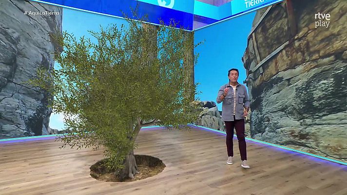 Aquí la Tierra - Aquí la Tierra - 09/04/26