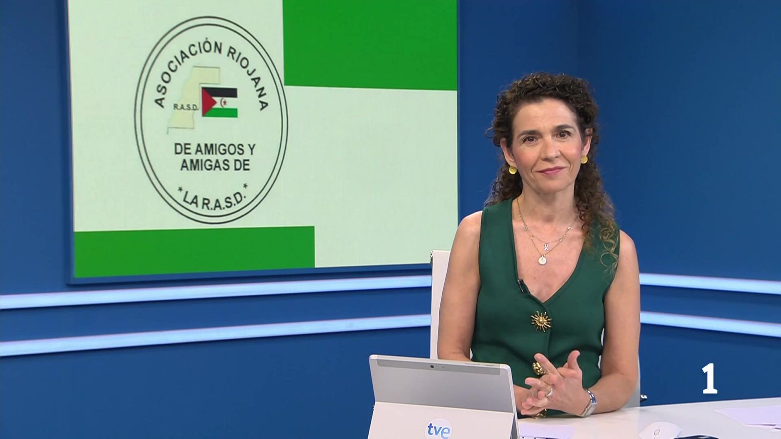 La Asociación de Amigos del Sáhara en La Rioja busca familias de acogida - Informativo Telerioja | Ver