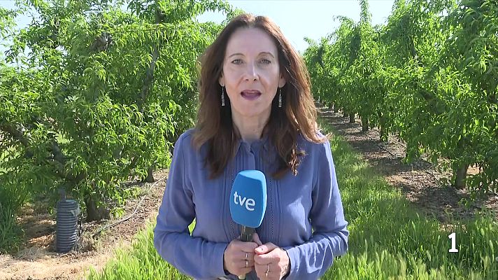 L'Informatiu - Ponent s'enfila fins als 32 °C: la calor ofega el camp