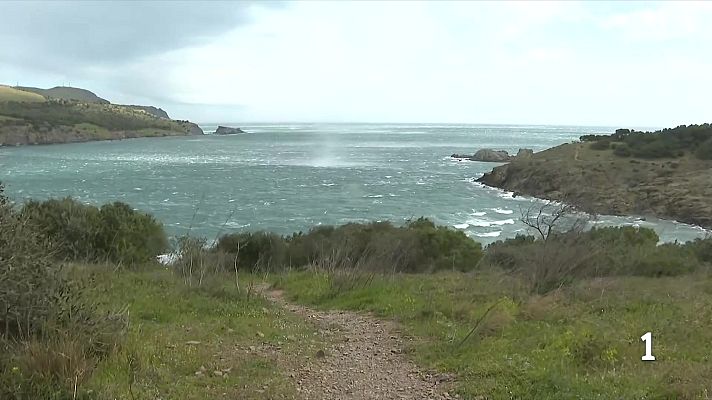 L'Informatiu - Els canvis bruscos de temperatura debiliten el sistema immunitari