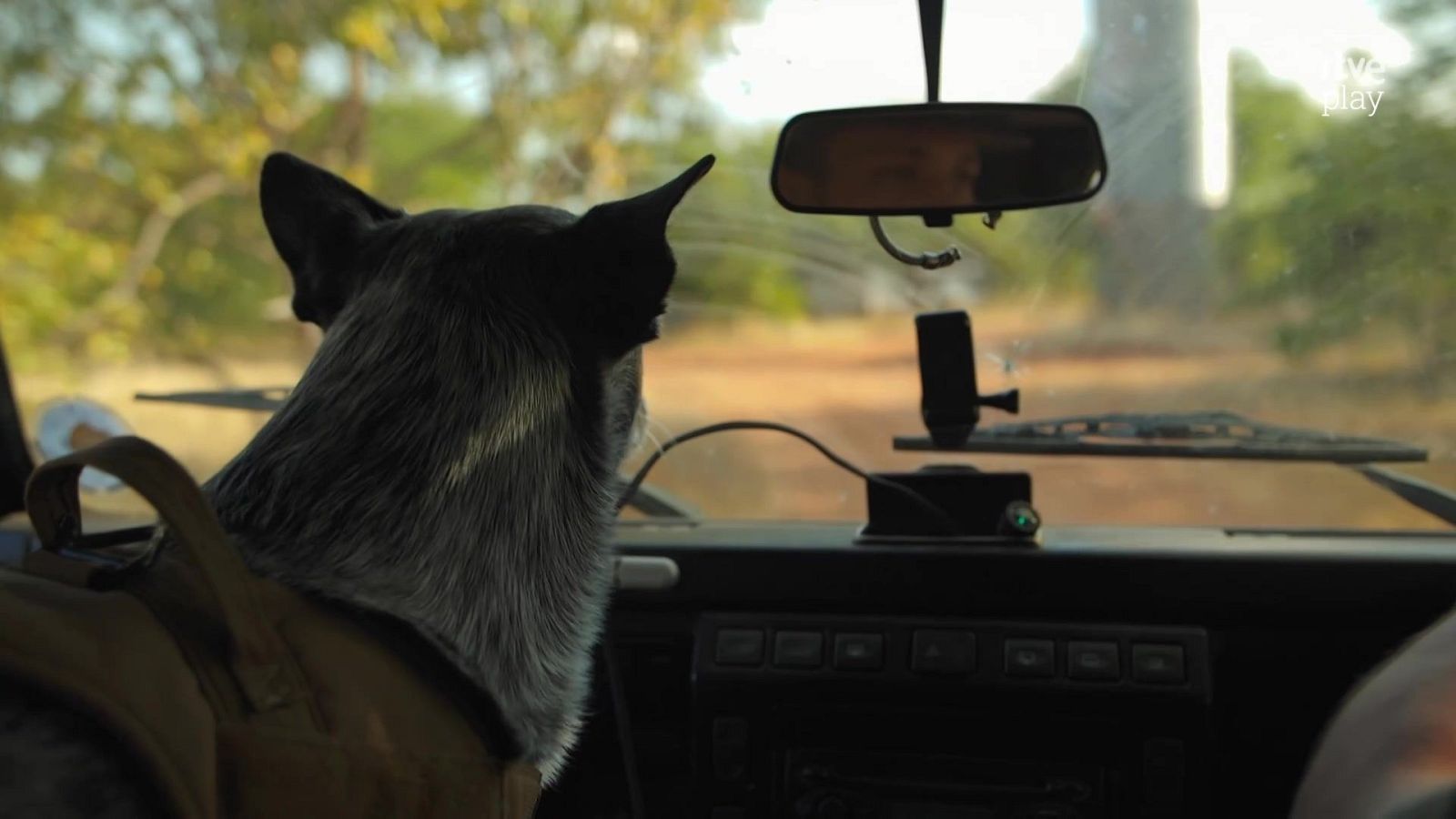 Fauna letal - T5 - Episodio 5: Salvar a los pangolines - Fauna letal | Ver