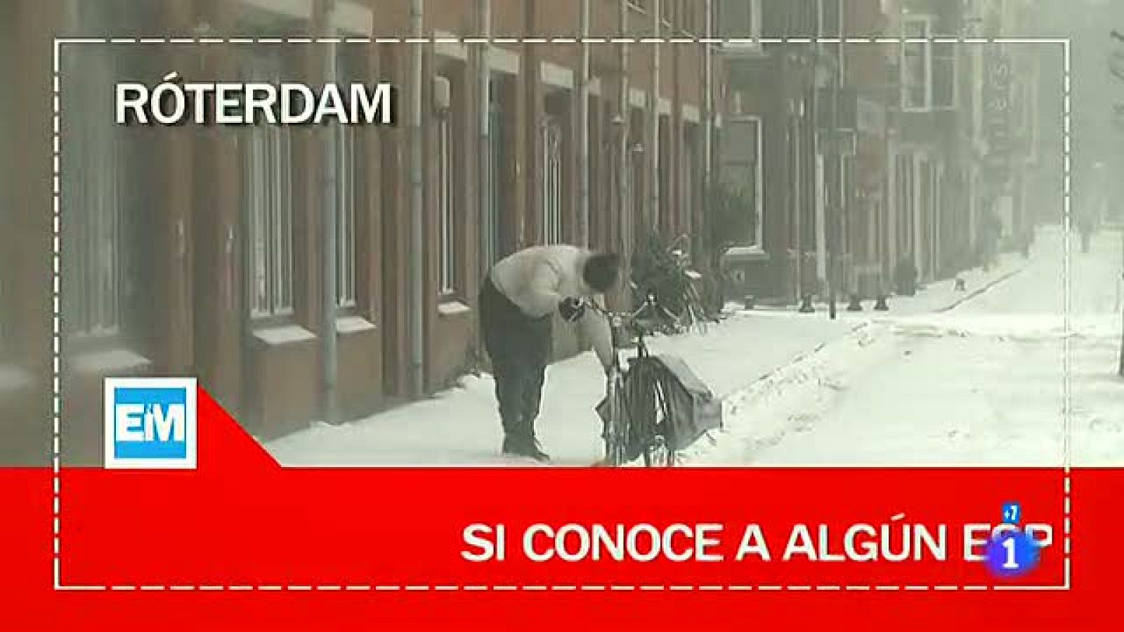 Españoles en el mundo - Roterdam - Tomas falsas | Ver