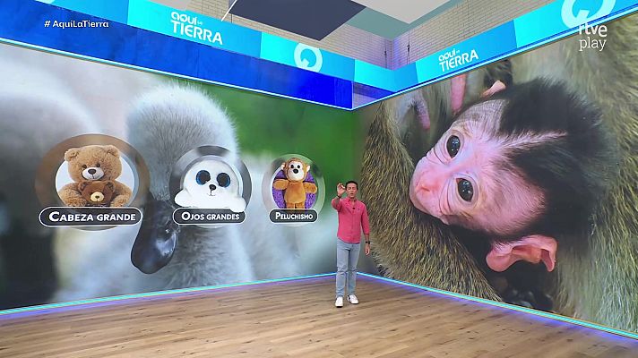 Aquí la Tierra - Aquí la Tierra - 10/04/26