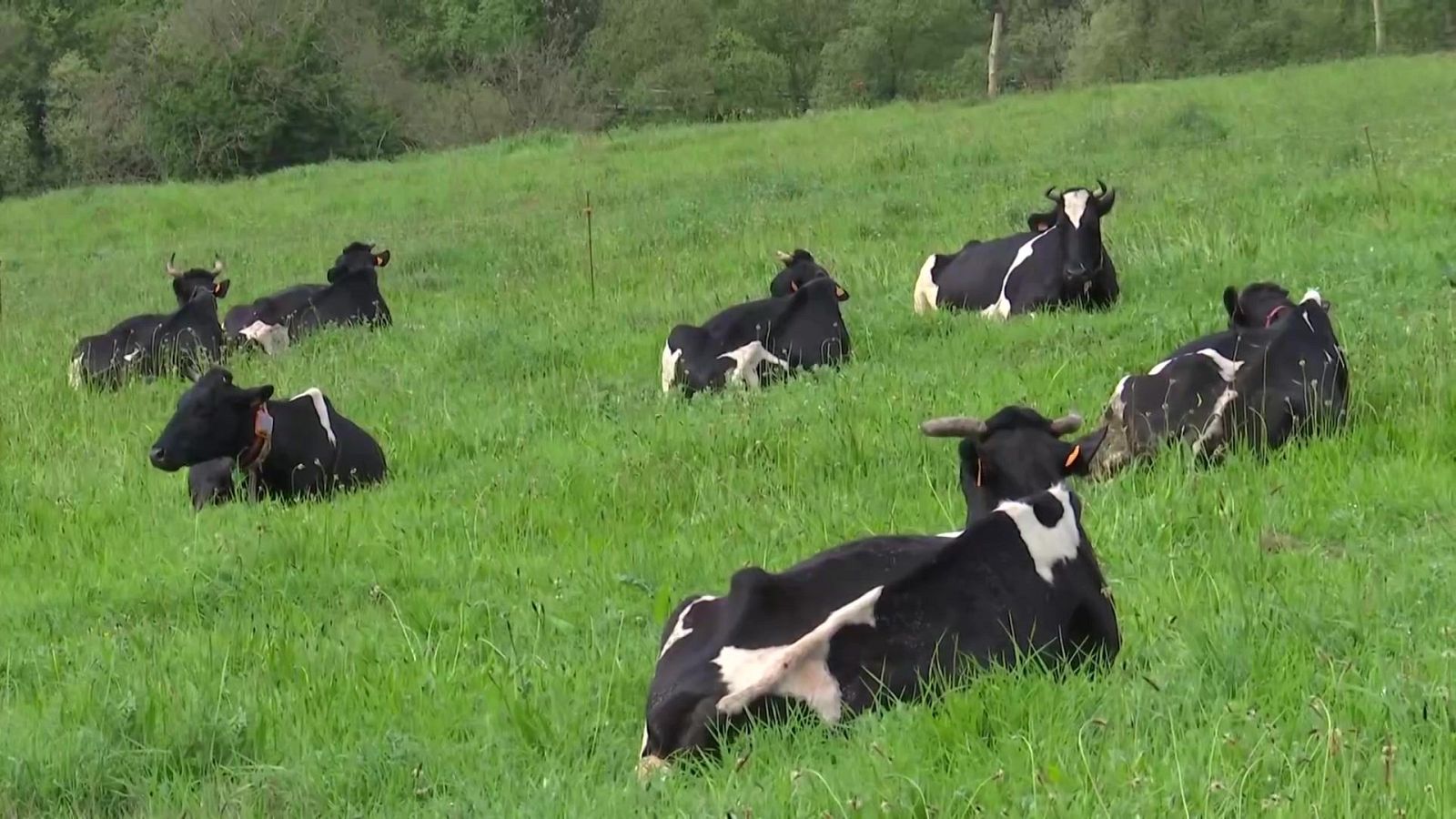 Agrosfera - 11/04/26 - Agrosfera | Ver