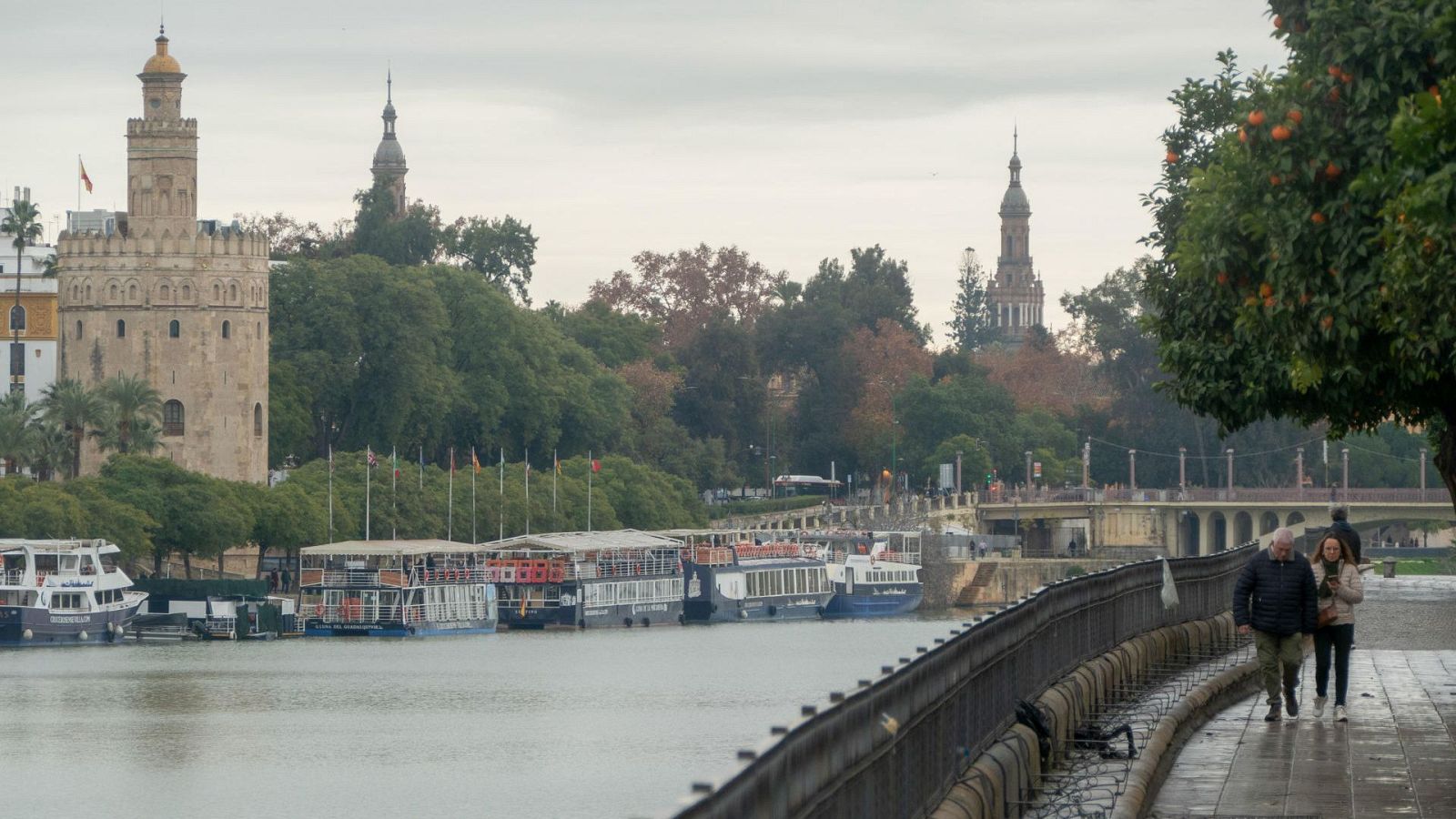 Arranca la precampaña de las elecciones andaluzas | Ver