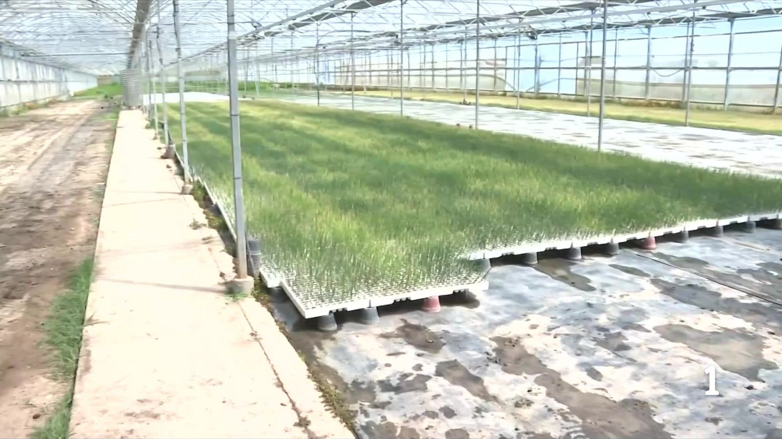 L’agricultura ecològica també pateix l’encariment dels costos per la crisi dels adobs