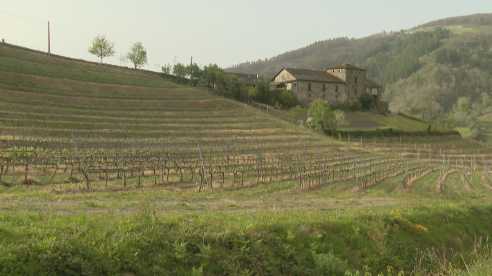 Panorama Regional - Las bodegas Siluvio y Monasterio de Corias, ganadoras en los Premios a los Mejores Vinos y Espirituosos de España