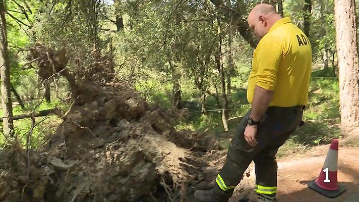 L'Informatiu - L'Informatiu - 13/04/2026