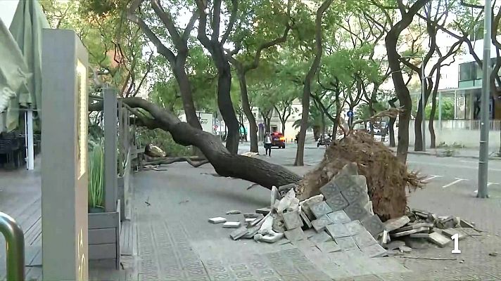 L'Informatiu - L'Informatiu 2 - 13/04/2026