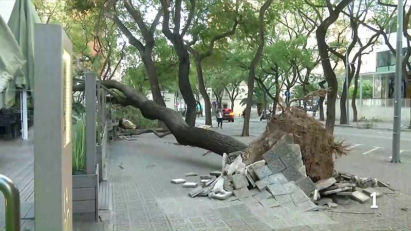 L'Informatiu 2 - 13/04/2026 - L'Informatiu | Veure