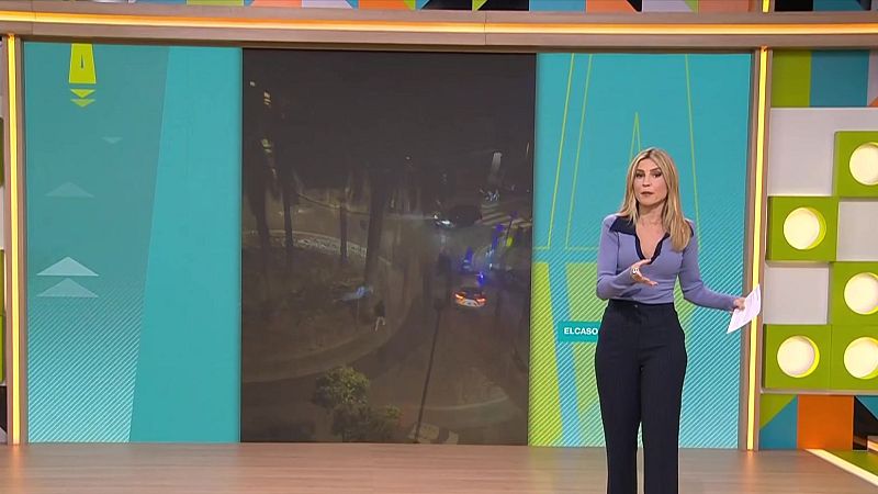 Baralles, el negoci de la guerra i accidents dom�stics - L'Altaveu - L'altaveu | Veure