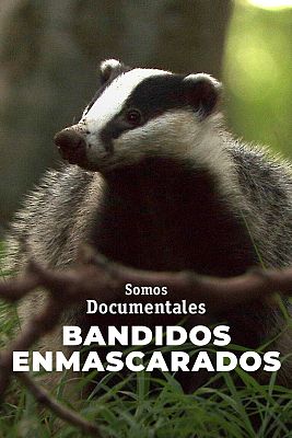 Bandidos enmascarados
