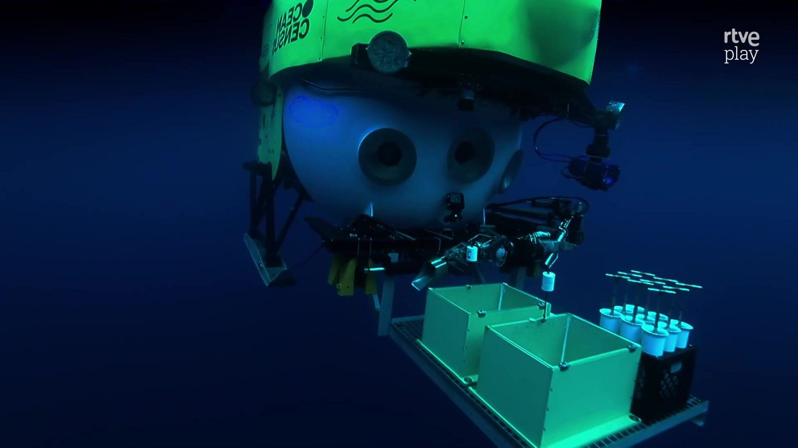 Fauna letal - T5 - Episodio 6: Las profundidades - Fauna letal | Ver