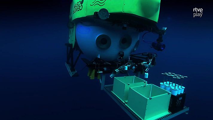 Fauna letal - Las profundidades